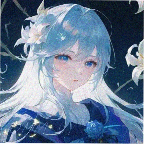 奈菲用户